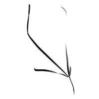 L1203 - Baju Tidur Dinas Malam Wanita Lingerie Teddy Bodysuit Seksi Hitam Transparan Open Cup - 2