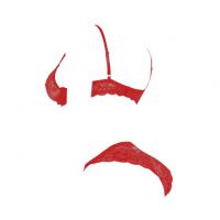 B338 - Pakaian Dalam Wanita Bra Set Kawat Underwire Seksi Merah Transparan - 2