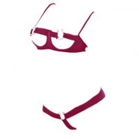B353 - Pakaian Dalam Wanita Bra Set Kawat Underwire Seksi Open Cup Marun