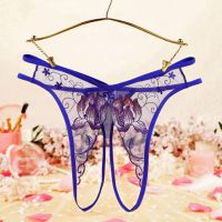 P635 - Celana Dalam Wanita Panties Hipster Seksi Biru Transparan Crotchless Bordir Bunga Tali 2