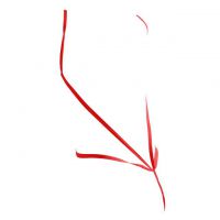 L1280 - Baju Tidur Dinas Malam Wanita Lingerie Teddy Bodysuit Seksi Merah Transparan Open Cup - 2